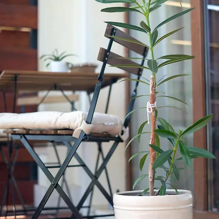 Lägenhet Poemia- Sea View, Free Parking, Complex Carpe Diem Baltjik