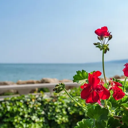 Апартамент Poemia- Sea View, Free Parking, Complex Carpe Diem